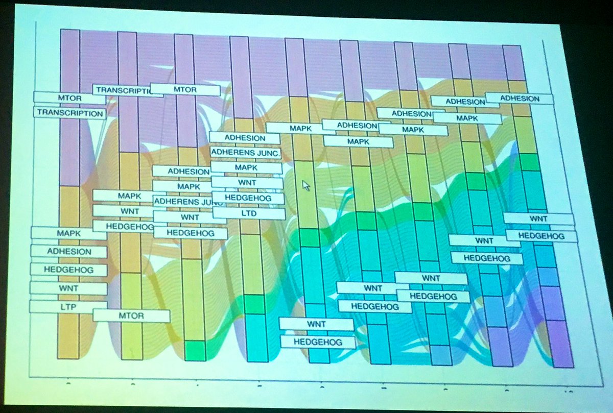 introspection's tweet image. Following Dr Lerch’s keynote, Jacob Ellegood described the massive systematic work on #autism model clustering w/@PONDNetwork 

@Spectrum summary: bit.ly/dynamo_duo #INSAR2019

Note1: Results point to a sweet subgroup number around 6/7

Note2: #SankeyDiagram are so cool!