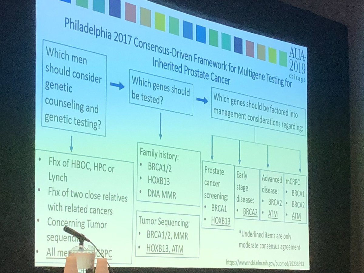 Heather Schultz (@hschultznpuro) on Twitter photo Excellent Genetics talk by one of our own Ashlynn Messmore, CGC đđ»đ«at the AUA APP program #aua19 <a href="/UNCurology/">Urology@UNC</a> Excellent Genetics talk by one of our own Ashlynn Messmore, CGC đđ»đ«at the AUA APP program #aua19 <a href="/UNCurology/">Urology@UNC</a>
