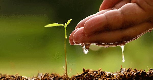 shashi_com's tweet photo. @narendramodi Next revolution in the plantation like "SWATCH BHARAT". https://t.co/KLtHmc8syy