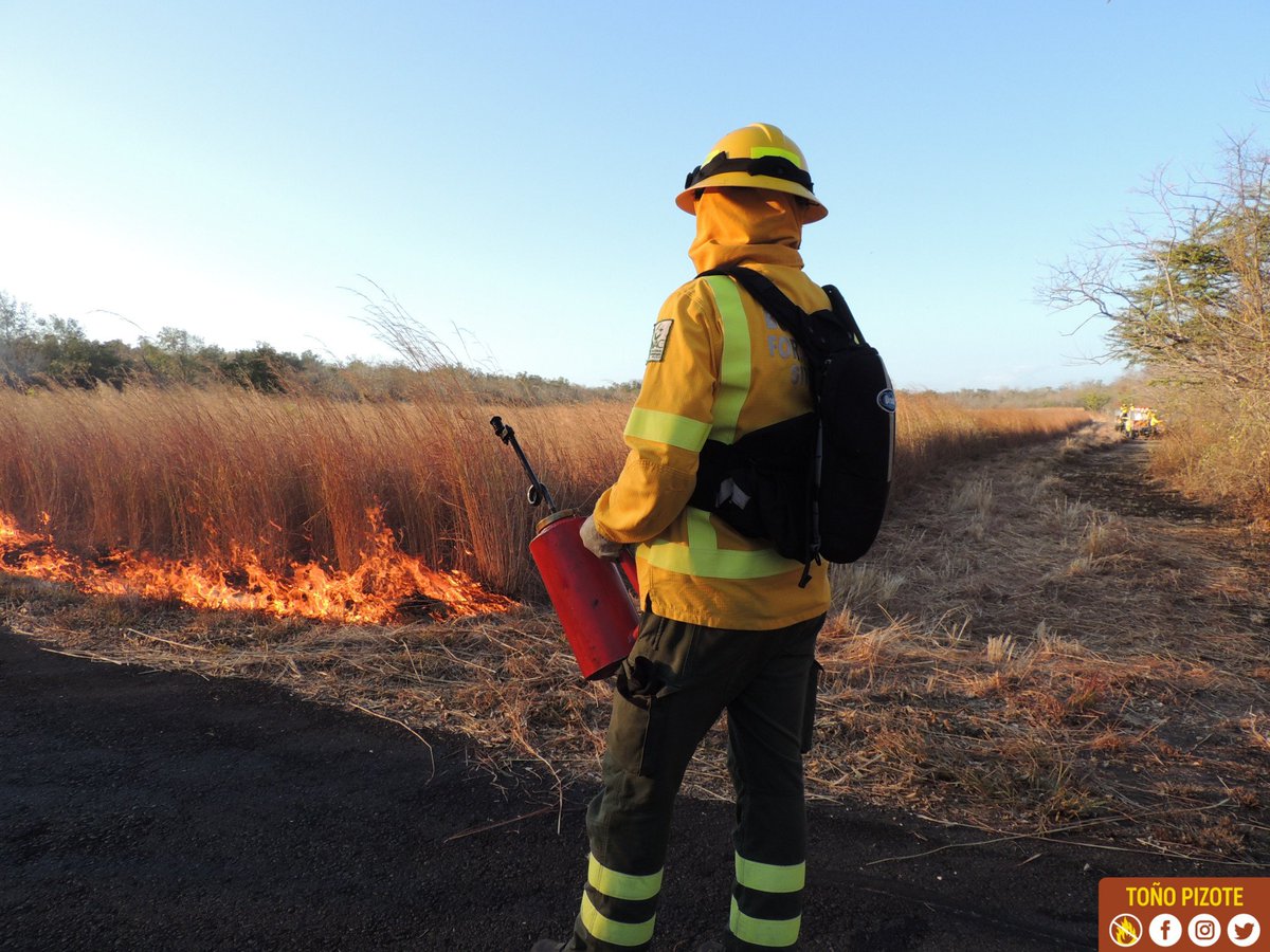 tonopizote's tweet image. Día del Bombero Forestal 🙌 Celebramos a las personas que cuidan del tesoro más valioso de nuestro país: el Patrimonio Natural del Estado. 🎉
Gracias por realizar su labor con mucho cariño, entrega y muchas veces poniendo en riesgo sus propias vidas. ¡Les admiramos mucho! 😀👏👏