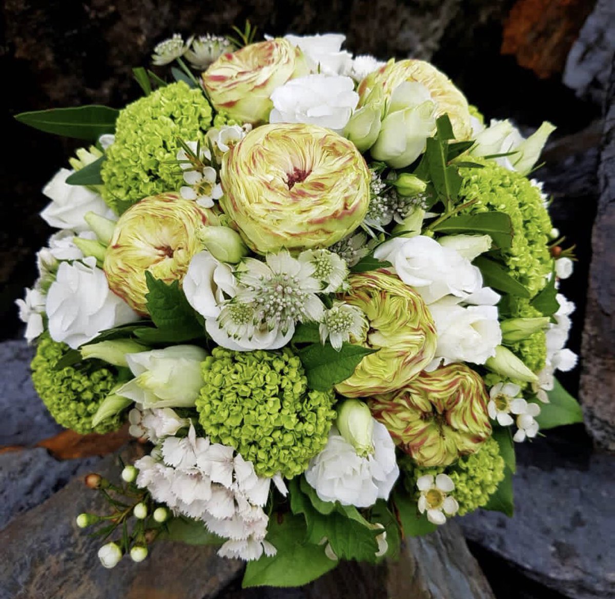 Marginpar's tweet photo. Astrantia Billion Star is a perfect flower to style in your wedding bouquet! These gorgeous bridal bouquets are styled by German florist CeeBee! (photo by @flower_ceebee)
#astrantia #marginpar https://t.co/3wOKrmSCb0