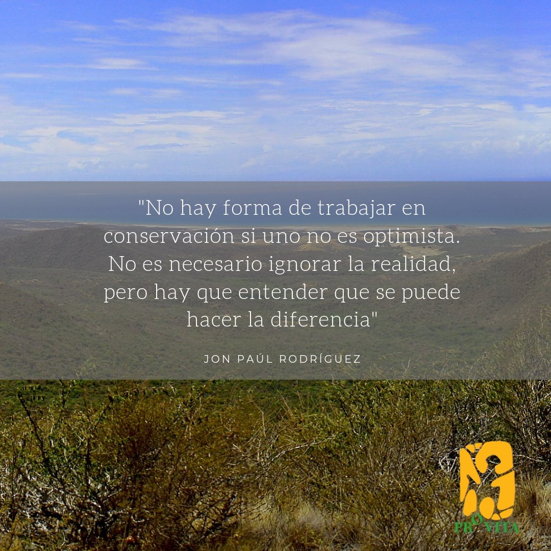 provita_ong's tweet photo. "No hay forma de trabajar en conservación si uno no es optimista. No es necesario ignorar la realidad, pero hay que entender que se puede hacer la diferencia", apunta @jonparod, de Provita, ganador de los Oscars Verdes por el trabajo que realiza la ONG por la cotorra margariteña. https://t.co/zknRu3IZLU