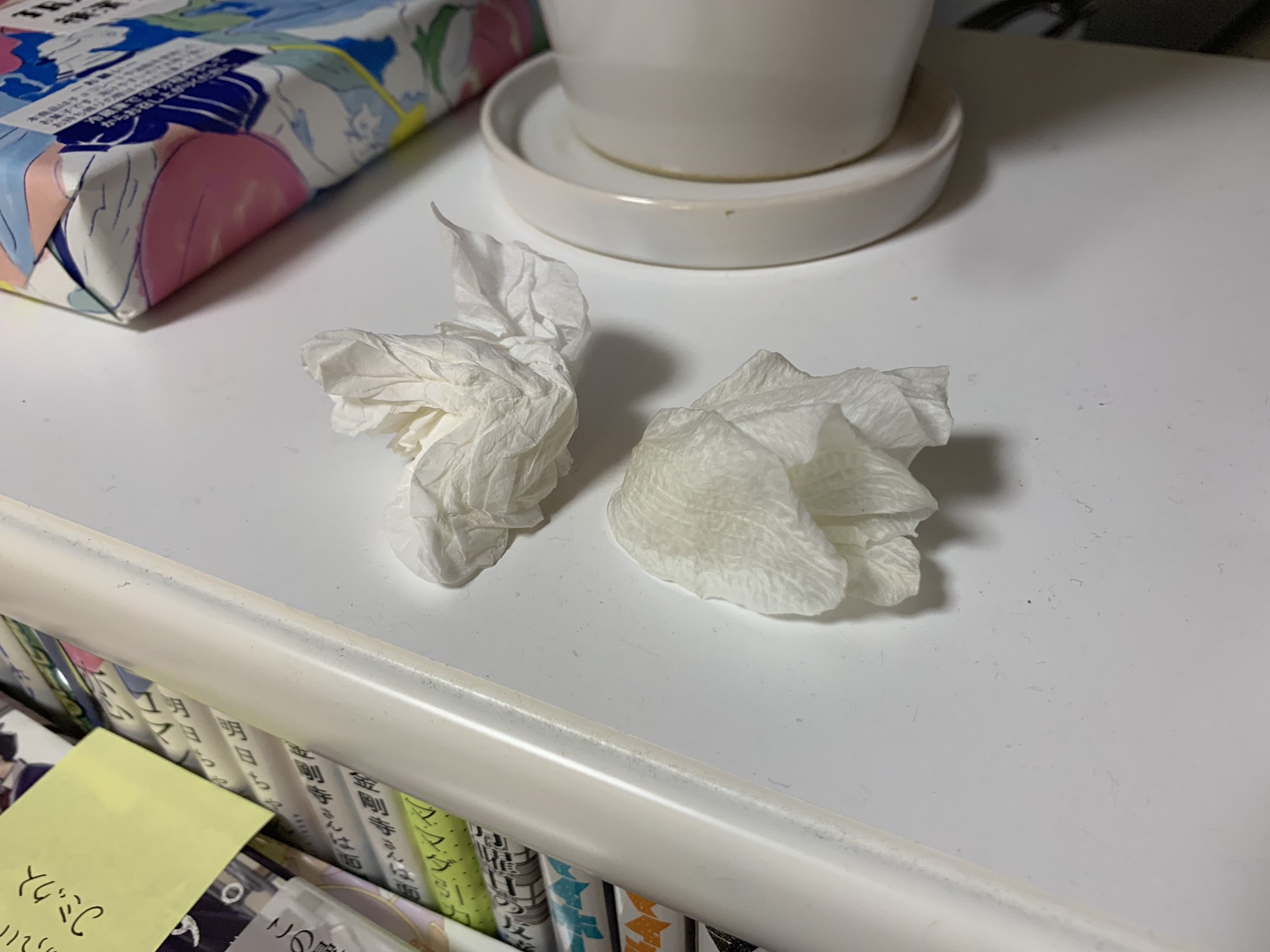 福地翼 なんか使い古しのティッシュが落ちてるなと思ったら 枯れ落ちた胡蝶蘭の花でした 花びらじゃなくて花ごと落ちるんだね胡蝶蘭って 知らなかった あ 左のはティッシュです T Co 9esmpgfnjf Twitter
