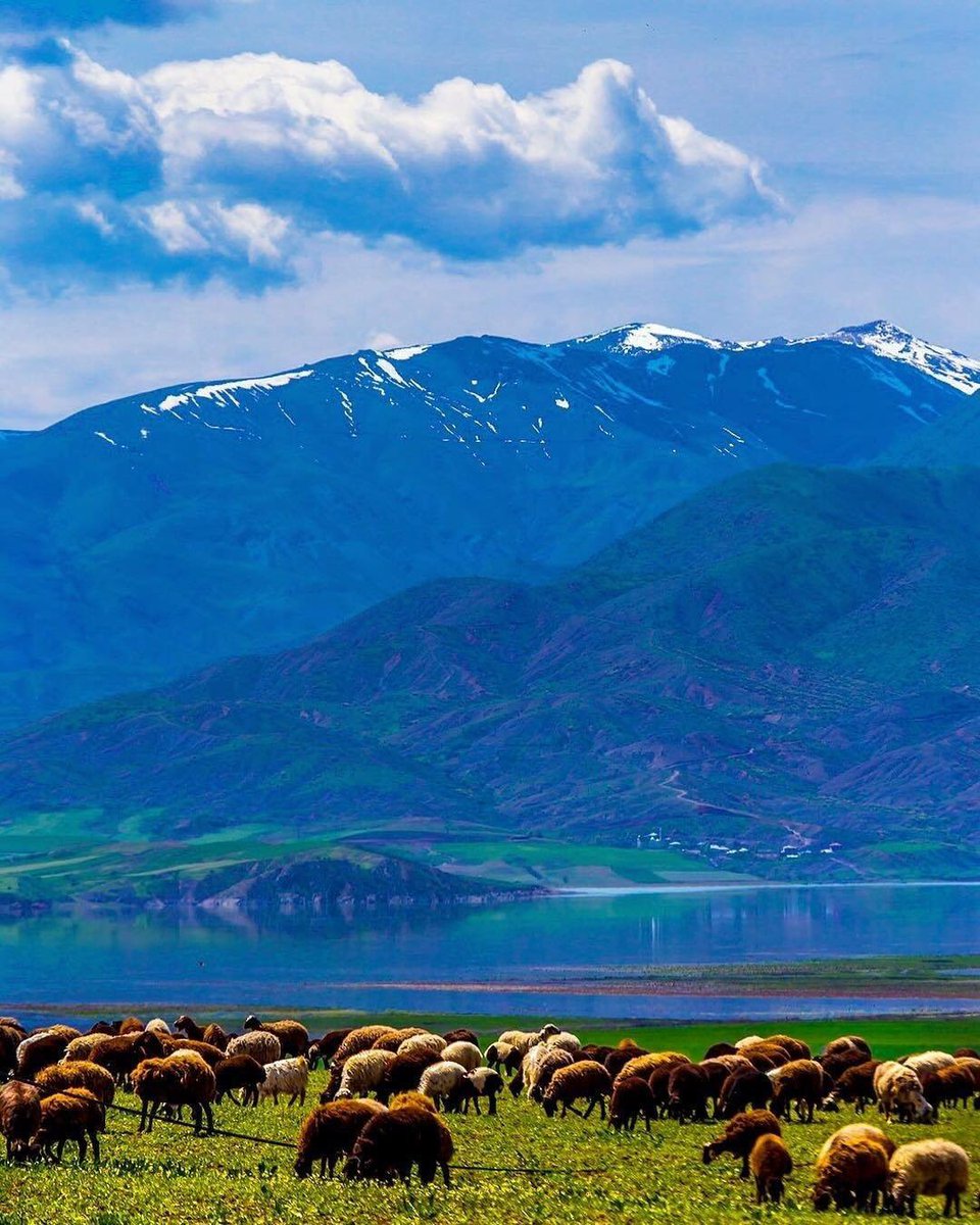 Baharın büyüsü...
#elazığ
#explorelazığ 
#cometoelazığ