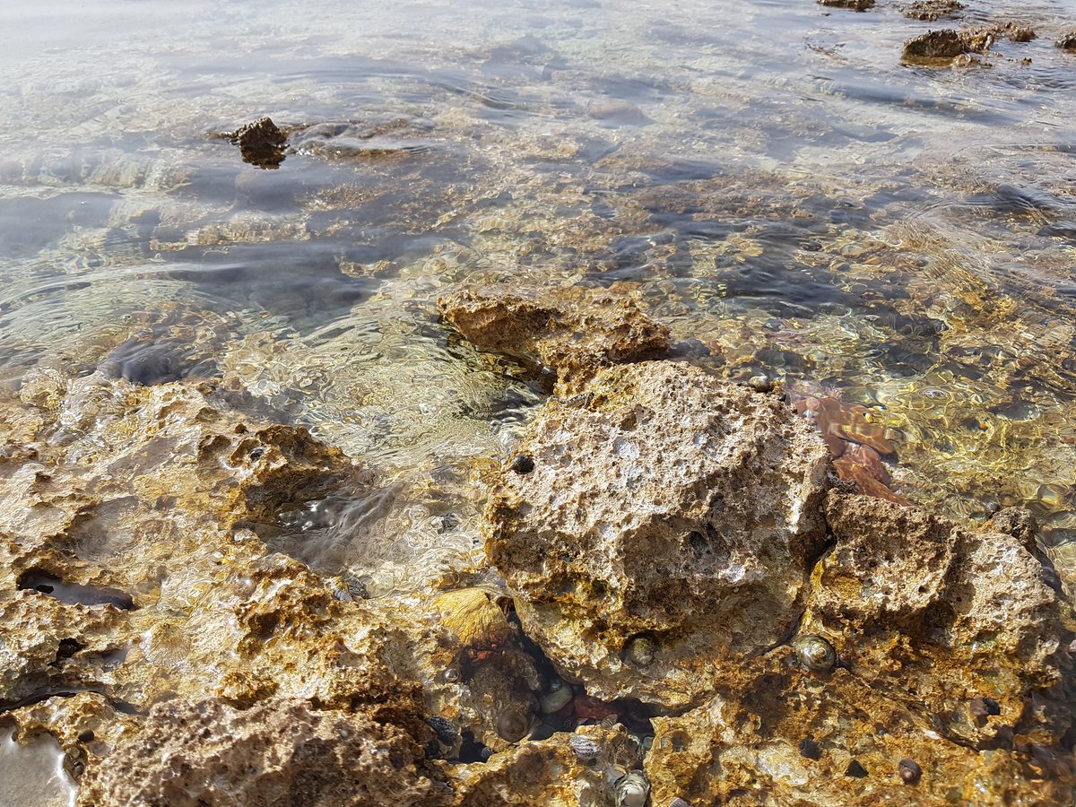 ayleeshaan's tweet photo. After travelling along the cost line n visiting different beaches, Didn't see such a clear, neat n clean beach as it was. U can see through the water urself. 

#SeasideMemory https://t.co/mpqzq2sj7x