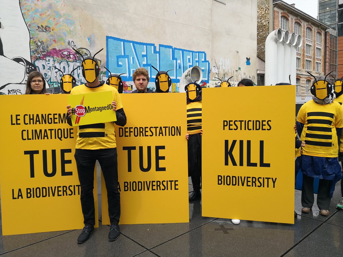WWF France 🐼 tweet media