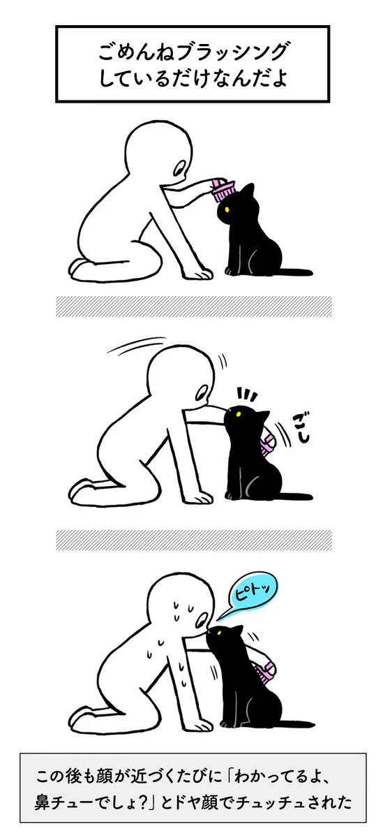 自分がかわいがられると信じ切っているネコの行動が可愛すぎるwww