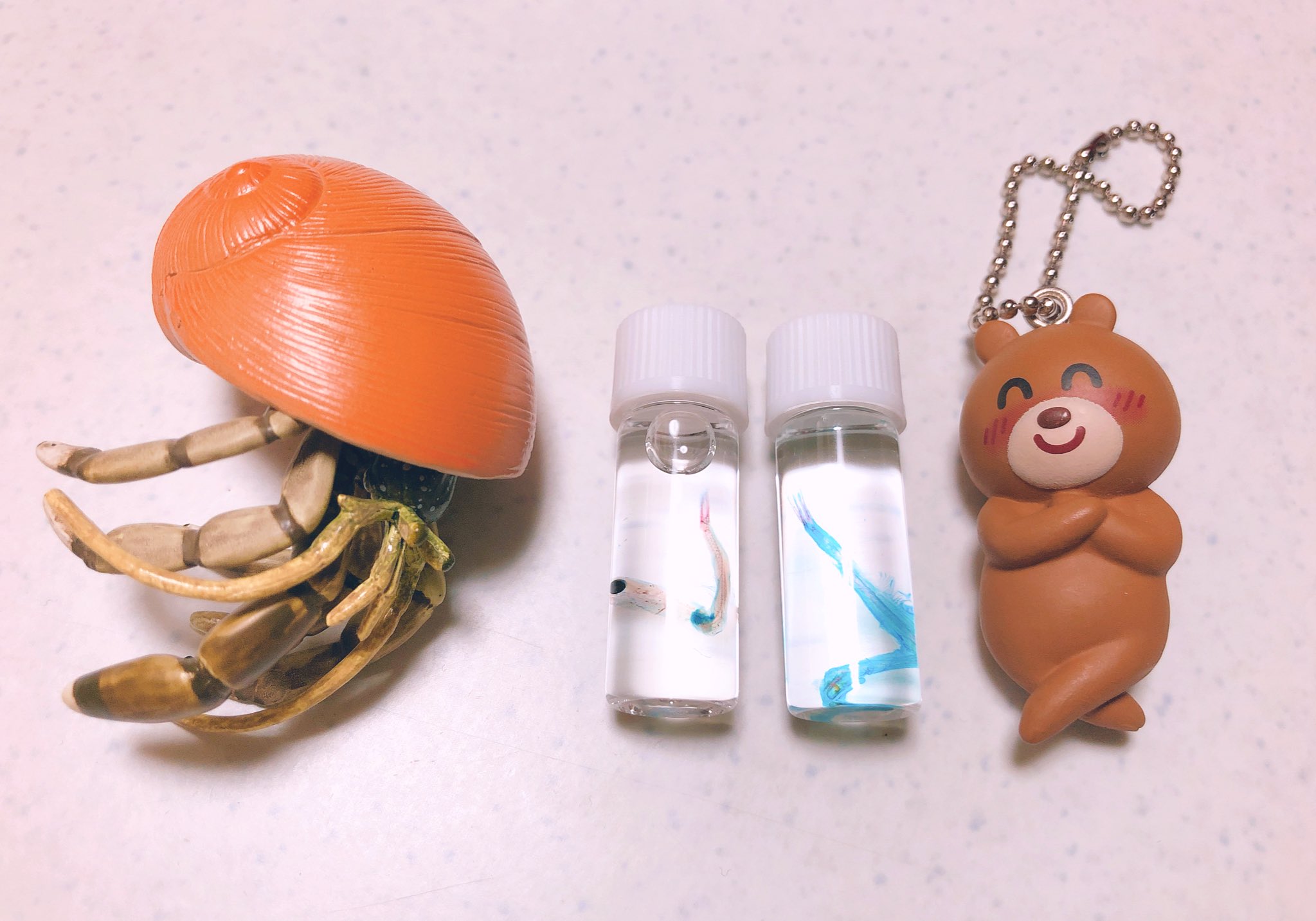 Necompass 今日のガチャ成果です 本物の標本がガチャで買えるとは クマもヤドカリもかわいい いらすとやパーティ みずべのなかま 透明標本 Necompass 今日のガチャ成果です 本物の標本がガチャで買えるとは クマもヤドカリもかわいい いらすとやパーティ みずべのなかま 透明標本