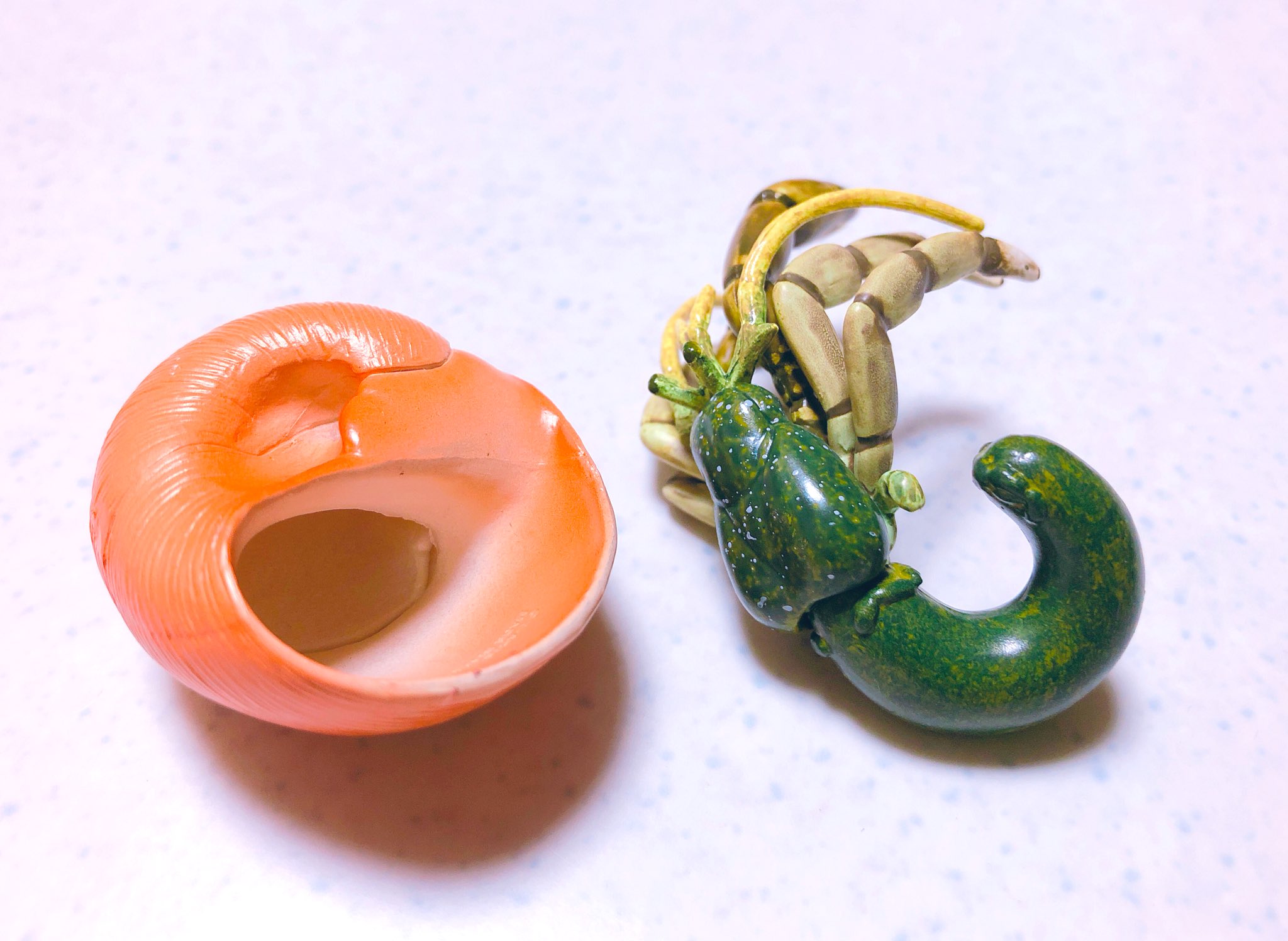 Necompass 今日のガチャ成果です 本物の標本がガチャで買えるとは クマもヤドカリもかわいい いらすとやパーティ みずべのなかま 透明標本 Necompass 今日のガチャ成果です 本物の標本がガチャで買えるとは クマもヤドカリもかわいい いらすとやパーティ みずべのなかま 透明標本