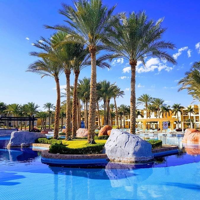 premiumseagate's tweet image. Proper Sundays, spent in premium luxury #RixosPremiumSeagate #RixosHotels #RixosMoments