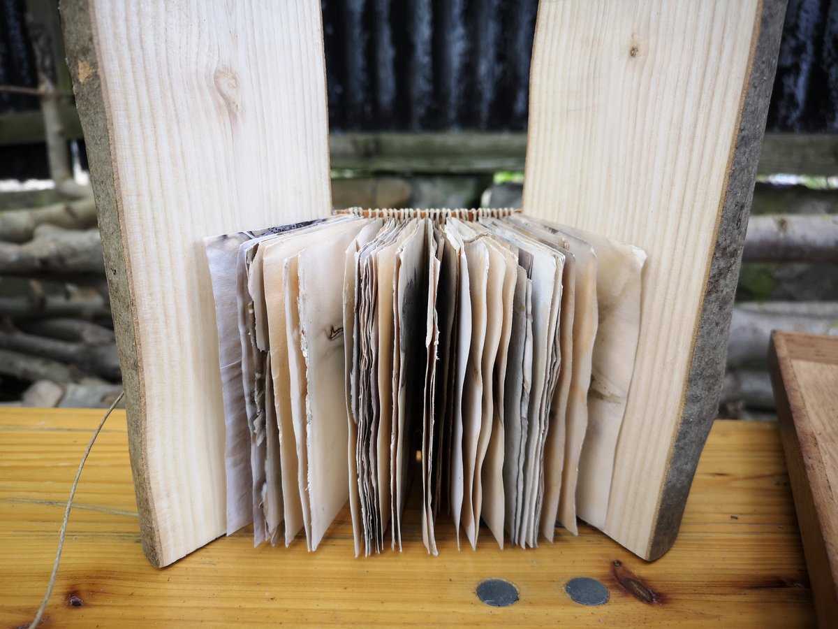 WardieBay Beachwatch tweet media