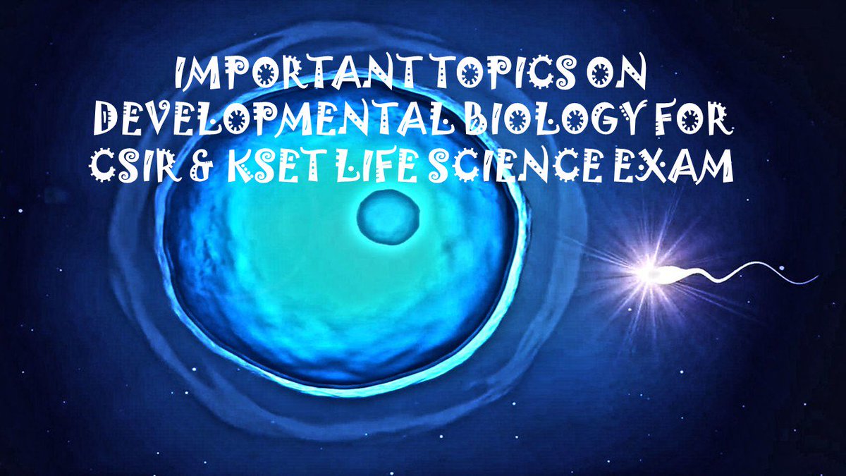 KmdWith's tweet image. youtu.be/FKwhi5T6B8I