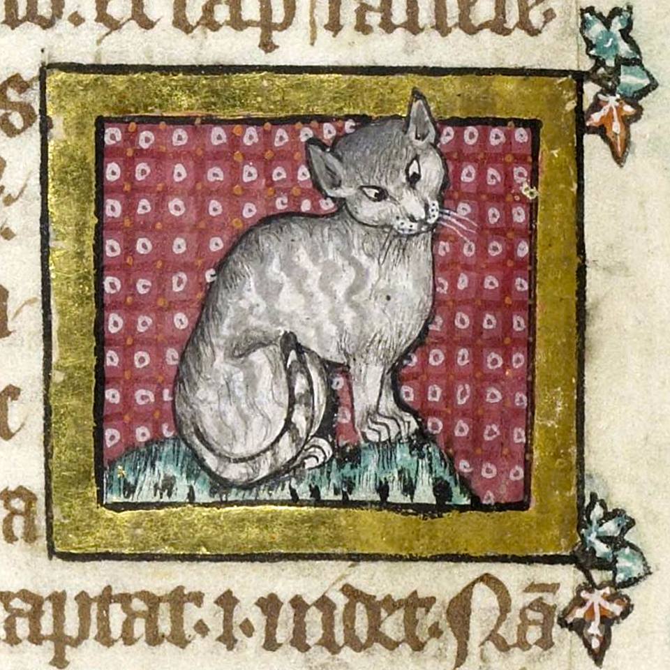 Thread: Did you know cats feature in early medieval law? The 10th-cent Welsh Laws of Hywel Dda listed the qualities of a good cat: “that it not devour its kittens, and that it have ears, eyes, teeth and claws, and that it be a good mouser.”
