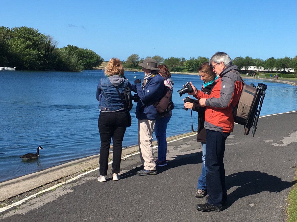 Fairhaven Marine Lake and Gardens tweet media