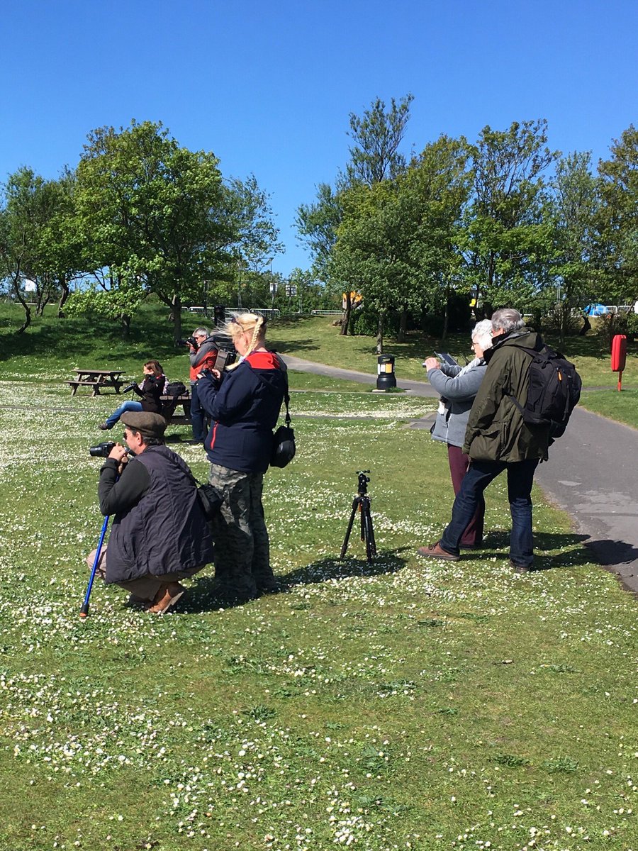 Fairhaven Marine Lake and Gardens tweet media