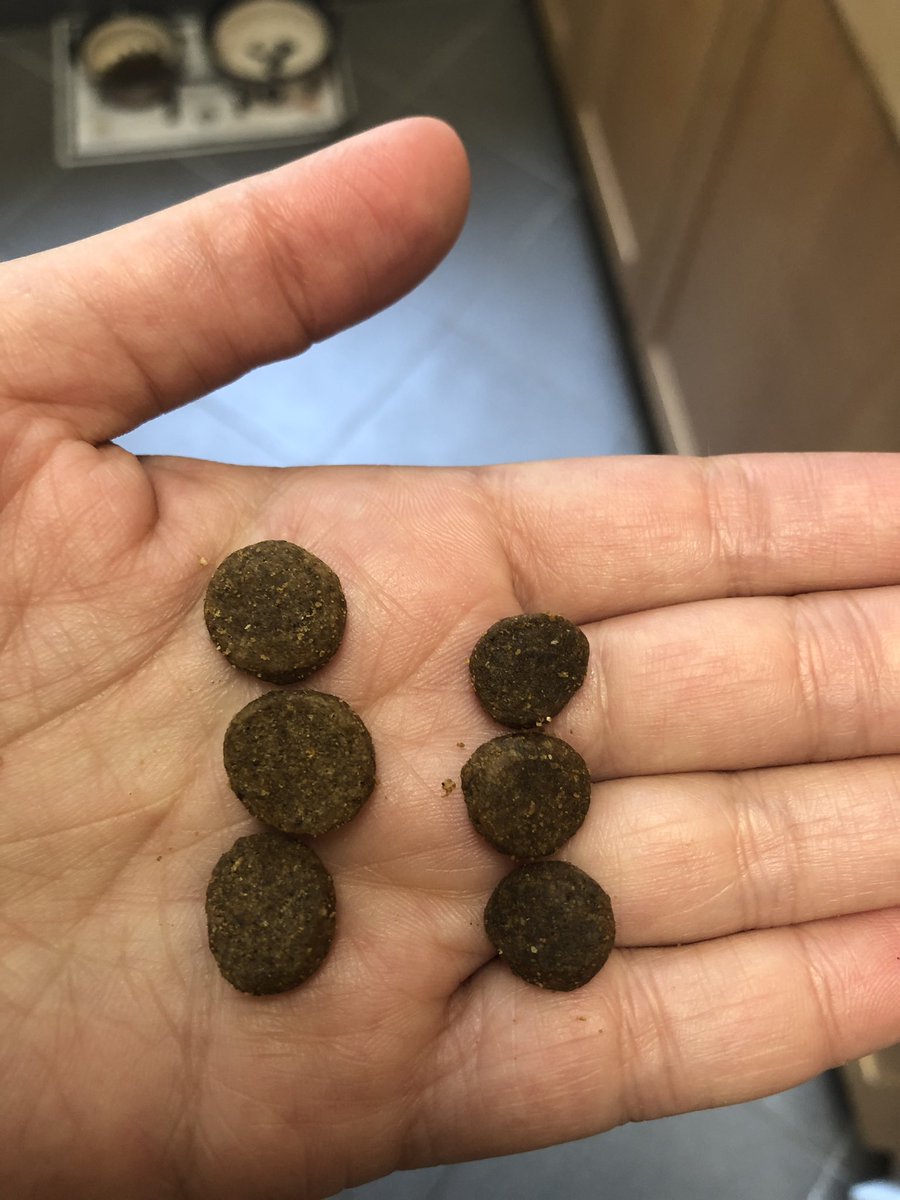 taste of the wild 14 lb bag