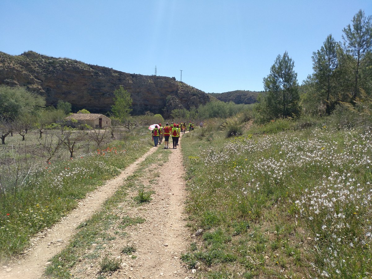 cecilia_nutriHM's tweet photo. VII Encuentro anual de participantes en los Grupos 4-40. Da el primer paso, cuida tu salud. Ruta Cañaverosa (Calasparra). Muy bonita experiencia, en un lugar maravilloso y con grupos 4/40 envidiables... Me lo he pasado genial! @UMU @AytoSaludMurcia @AytoMurcia #voluntariadoUMU https://t.co/jbWn7VbqHj