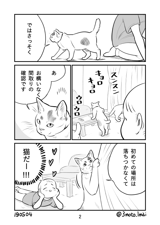 初回利用-2
#ねこレンタルサービス #猫漫画 