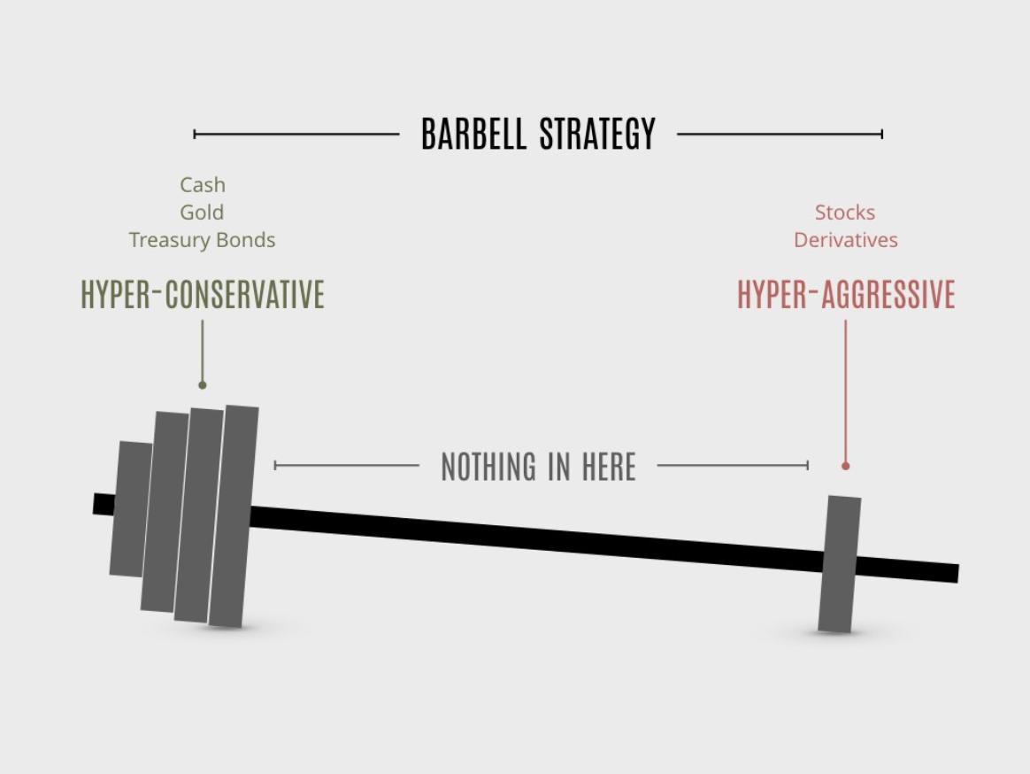 Taleb has a doublethink investment strategy he calls "The Barbell". All in at EXTREMELY SAFE and EXTREMELY RISKY investments. Avoid the shades of grey in between like the plague. Most people end up in the shades of grey.