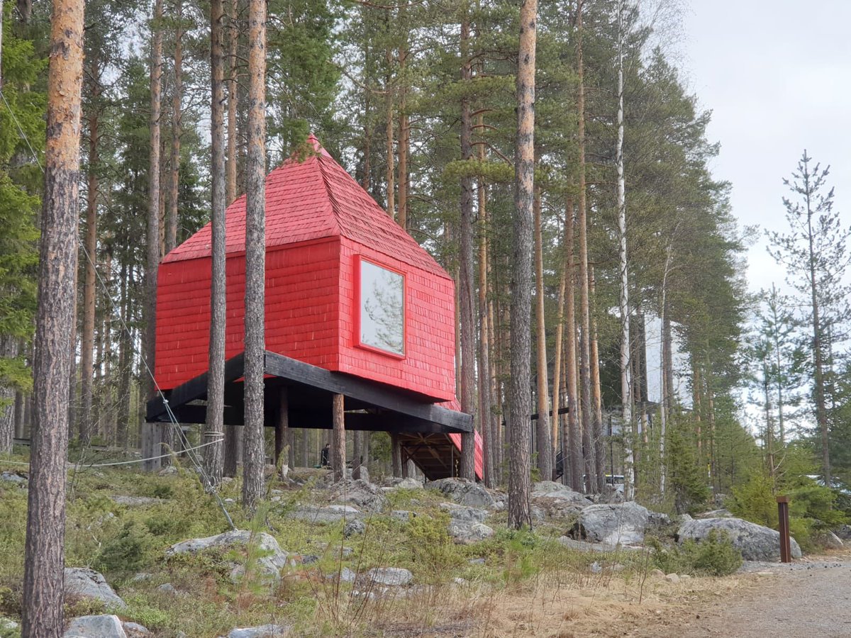 Sergio Guimaraes tweet media