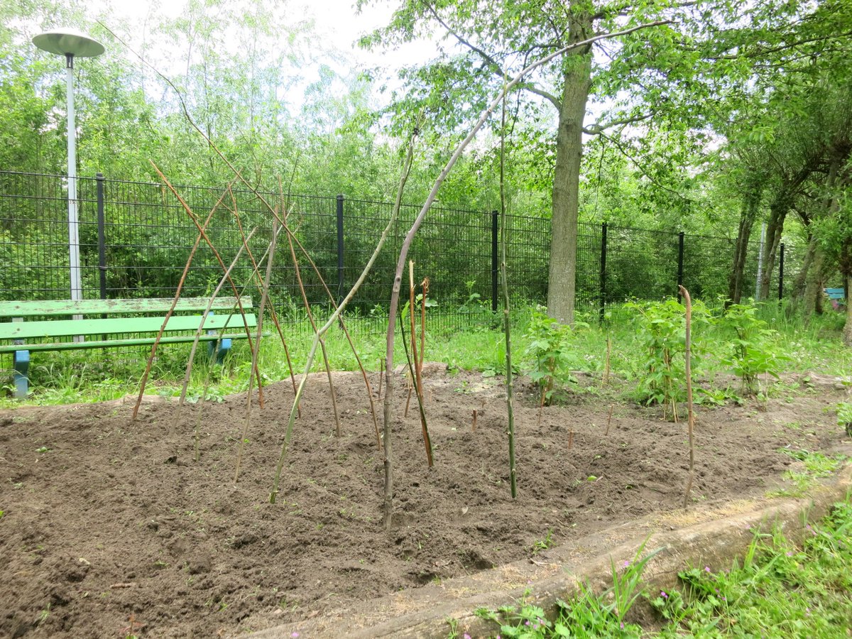 Tussen de paar hagelbuien (!) door hebben we fijn gewerkt op onze maandelijkse doedag. Er zijn bonen gezaaid, aardappels gepoot, snijbieten geplant en twee eengezinsmezenkastjes opgehangen. En dat allemaal <a href="/speeldekameleon/">Speeltuin De Kameleon</a> in #hoograven. Op zaterdag 1 juni weer! Be there...