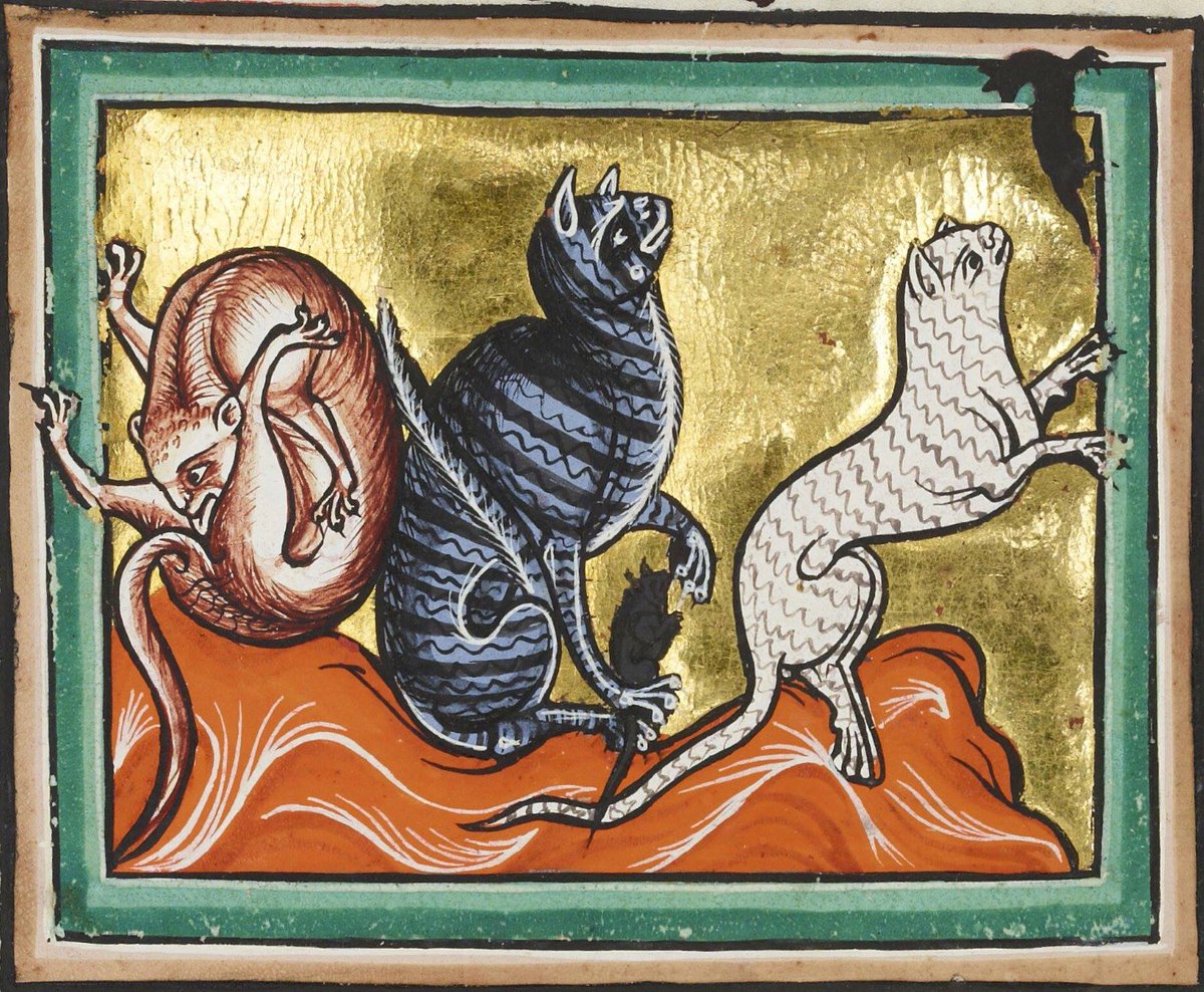 I am not an expert on medieval cats, but I just read  @PooleZooarch's wonderful article "The Contextual Cat: Human–Animal Relations and Social Meaning in Anglo-Saxon England," from which many of these facts are drawn, and I felt like sharing. /fin