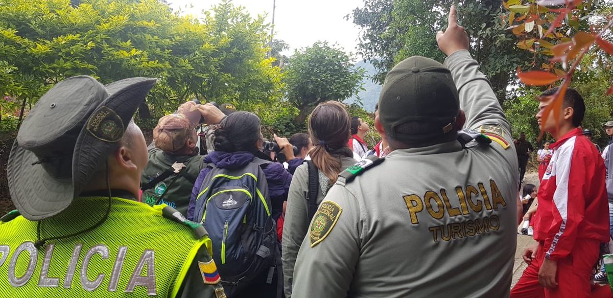 ProteccionPonal's tweet photo. En la vereda palma alta de #Fusagasuga con @ProteccionPonal realizamos avistamiento de aves en el concurso del Global Big day #ParqueVerdeYAgua #YoProtejoLasAves https://t.co/45ackvHU5C