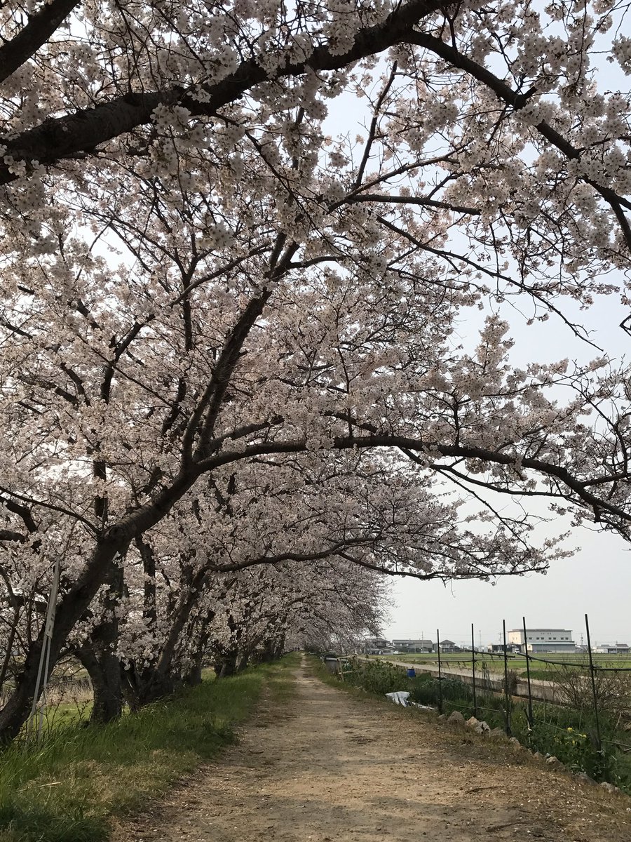 みやま公園 みやま公園