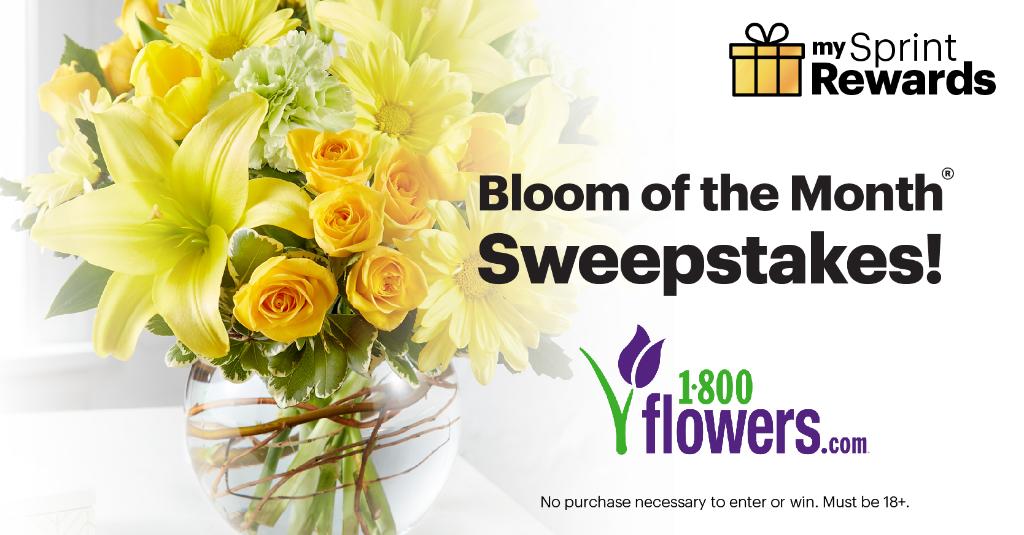 MichelCombes's tweet image. Mother’s Day is only a week away - @Sprint customers, you can save 40% off select flowers and gifts @1800Flowers to show her how much you love her! sprint.co/2PLThcH