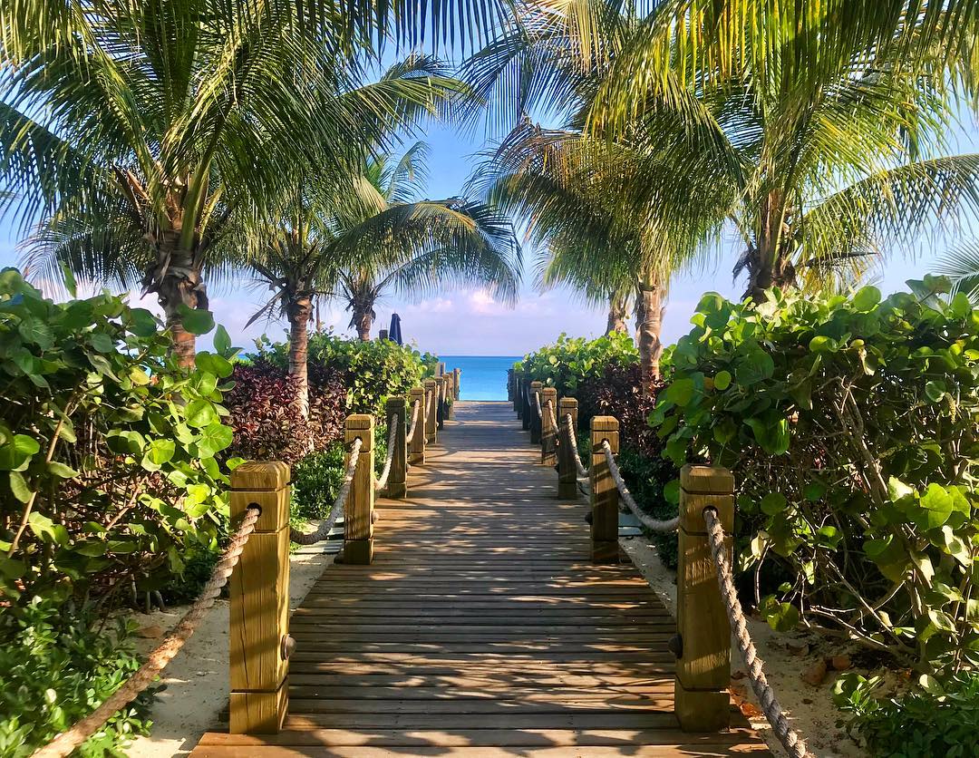 Some beautiful paths can't be discovered without getting lost. 
.
.
.
📷 @jenransom_