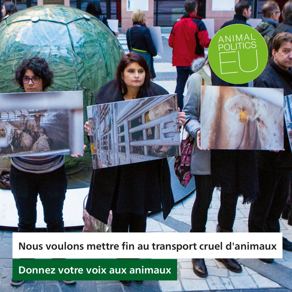 Parti animaliste tweet media