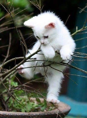 #RNR ♥️ ♥️ ♥️