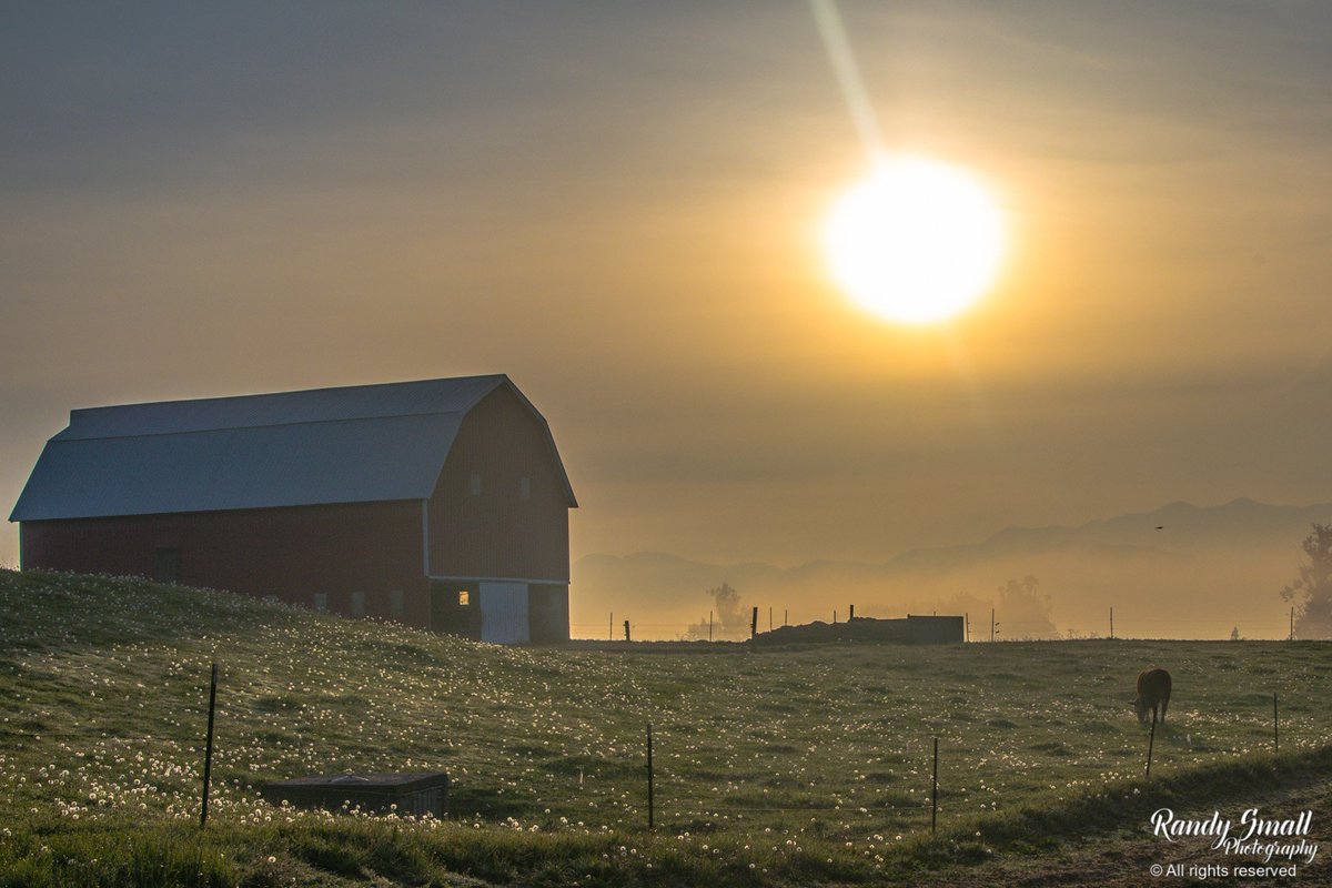 RandySmall's tweet photo. #Sunrise from #Sunas, WA today! #wawx @NWSSeattle @ThePhotoHour @spann @StormHour https://t.co/DR5G95FSJw