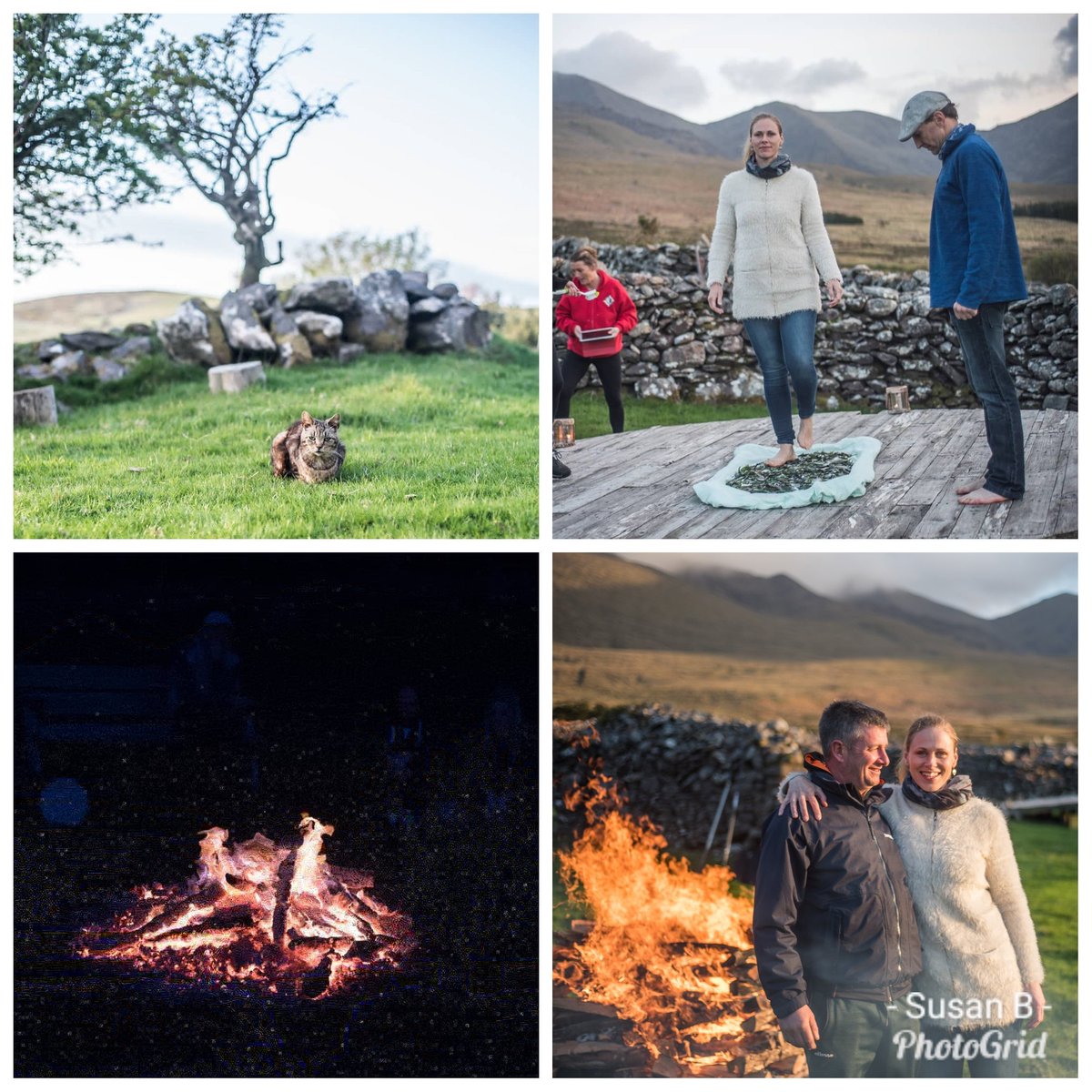 TalesBySusan's tweet photo. Exquisite and magical evening at #carrantoohill #ecofarm #Killarney at their #bealtaine #firewalk can't believe you got myself and himself #firewalking and #glasswalking oh and #drumming love the #faerytree too #greenman #nature https://t.co/5SRF9WHqSD