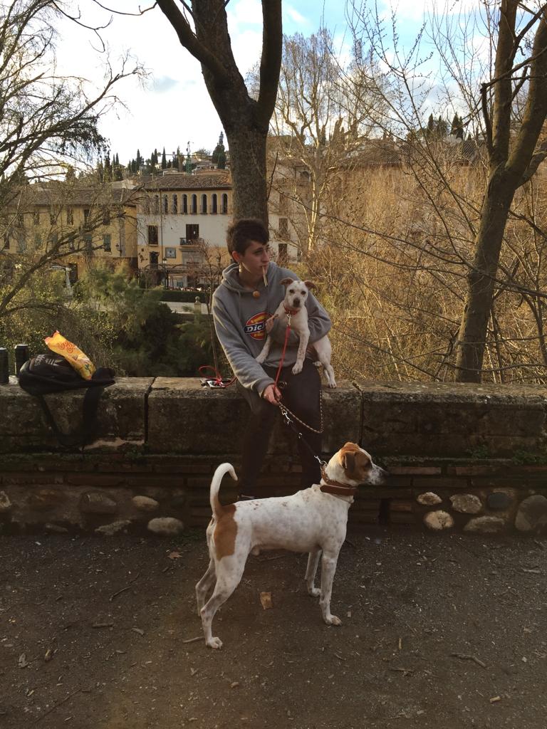 ronijueliki's tweet image. 🥀