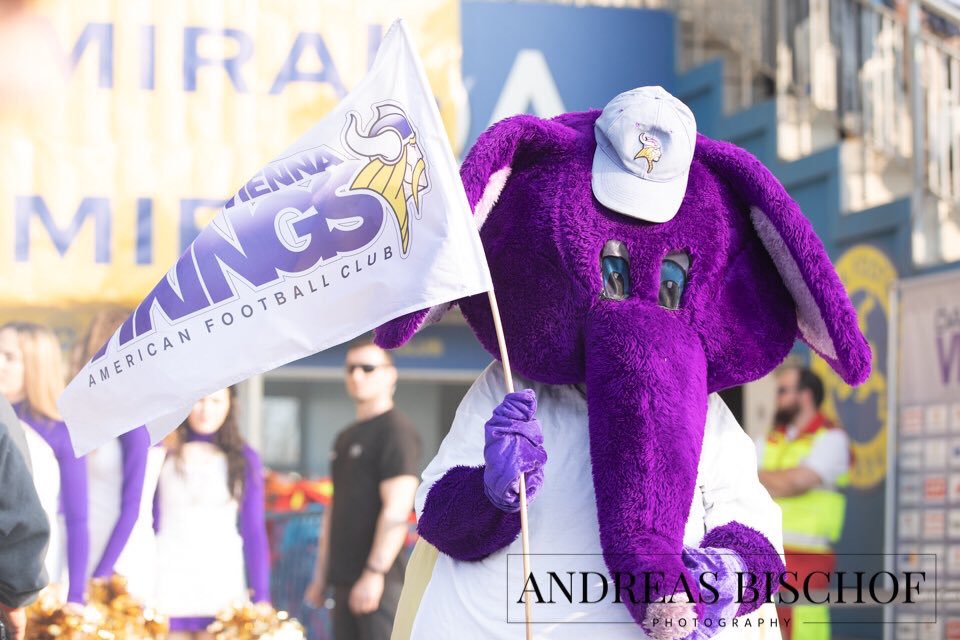 Vienna Vikings tweet media