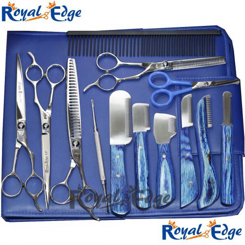 royaledge's tweet image. 