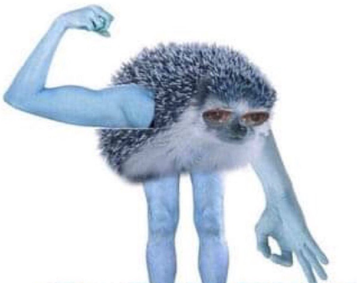 Adam Paul Riopelle tweet media