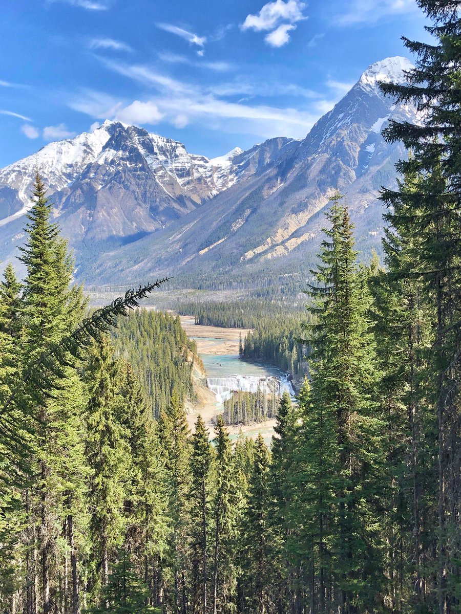 DanielaRoesch's tweet photo. Pure nature: the sounds of life echo through the Canadian wilderness... #intothewild #camping #canada #outdoors https://t.co/ds90I7FC6T