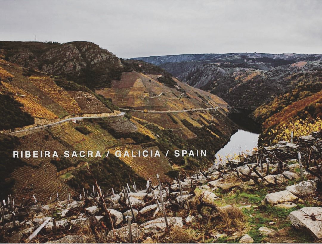 SipFineWines's tweet photo. Tasting wines from Galicia, Spain today 🥂🍷5-8 pm: Albariño + Ribeira Sacra (Mencia) from @Tempranillo_Inc. "Dry framed, high elevations, cool climate, granite soil = amazing wines." 📷: Tempranillo Inc. #winetasting #sipsips #sipster #parkslope #barclayscenter #theotherfifth https://t.co/LIo2KegF5b