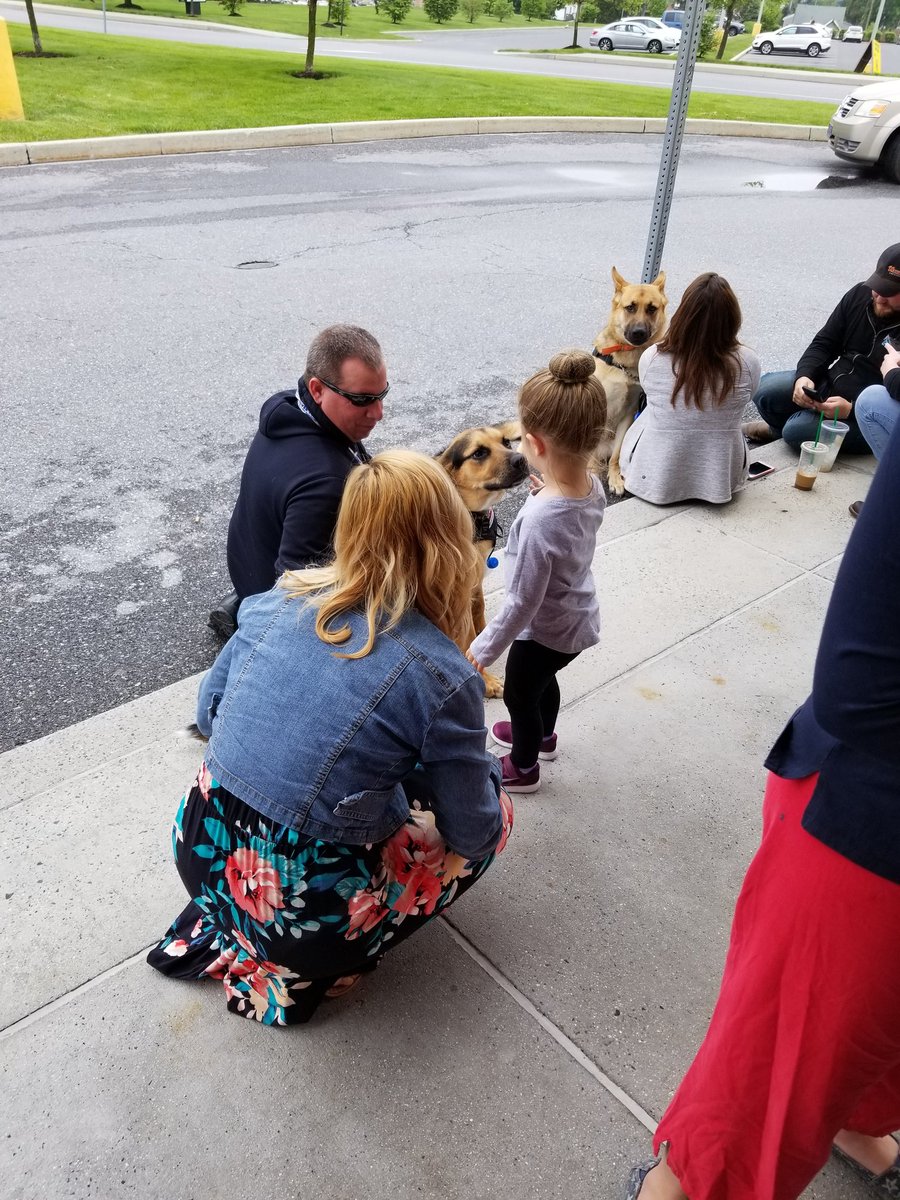 Wonderful time hanging out with Veteran Service Canines today! Their stories are amazing! They provide working dogs to veterans free of charge. veteranservicecanines.com 
<a href="/PSPTroopHPIO/">Trooper Megan Frazer</a> <a href="/JMichaelsNews/">Justin Michaels</a> <a href="/TrudiOteri/">Trudi Oteri</a> <a href="/erika_mcintire/">Erika McIntire</a> <a href="/NortheastAFN/">Armed Forces Network-Northeast</a> @CarlislePAChamb @TimGrever