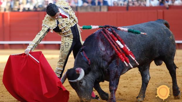 BarcelonaAprtmn's tweet photo. Feria de Abril: con toros de Victorino es otra Fiesta... https://t.co/3IlOVaaYZG