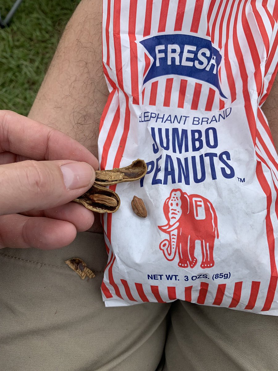 Feel Cheated! #jumbopeanuts #nosalt #tiny  #NewOrleansJazzFest