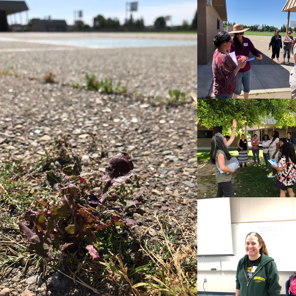 The SJCOE tweet media