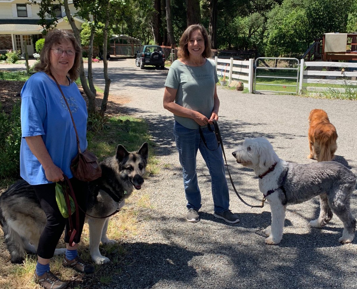 Volunteers Ann & Marilyn walk Sara, Woody & Sammy. Be a volunteer. lilyslegacy.org #volunteersmakeadifference, #volunteersoflilyslegacy, #helpthedogs, #dogsofinstagram, #dogsoflilyslegacyseniordogsanctuary