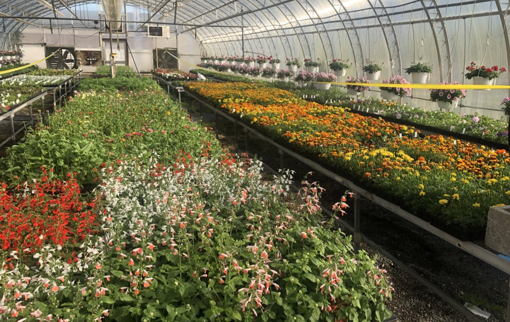Our next FFA plant sale will be next Saturday, May 11th from 10am-2pm. Special Mother’s Day planters and hanging baskets. Annuals flowers, veggies and herbs. Thank you for your support! @nbcsuper <a href="/NBC_FFA/">Northern FFA</a> <a href="/nbc_hsprincipal/">HS Principal</a> <a href="/EmerMatt/">Matt Konowicz</a> <a href="/amystellanbc/">Dr. Amy Stella</a>