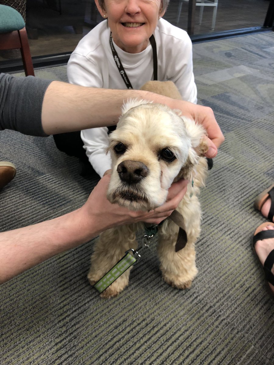 robinwb's tweet photo. You jelly of my #lewislibrarypaws t-shirt? thanks @unthsclibrary for always having #furbabies for our #mentalhealth 🐕🐈🐾♥️ https://t.co/PS5994ESvq