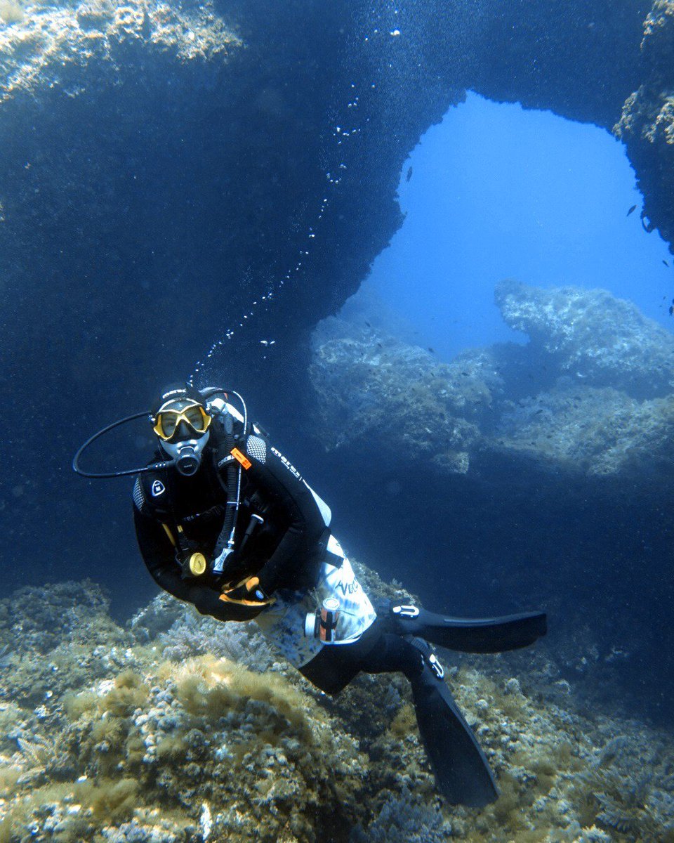 scubamallorca's tweet photo. Hey buddy, what's up? 

#ScubaMallorca #scubadiving #scuba #diving #scubadivingisfun #scubajunkie #scubabuddy #divinglove #divinglife #mallorca #spain #pollensa #portdepollensa #PADIdiver #PADIdivers #uwworld #uwphotography #uwpictures #trydiving #padidivecenter #subaaddict #PADI https://t.co/TG2bdBx9fL