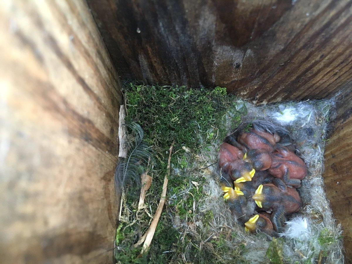 Imogen Mansfield (she/her) tweet media