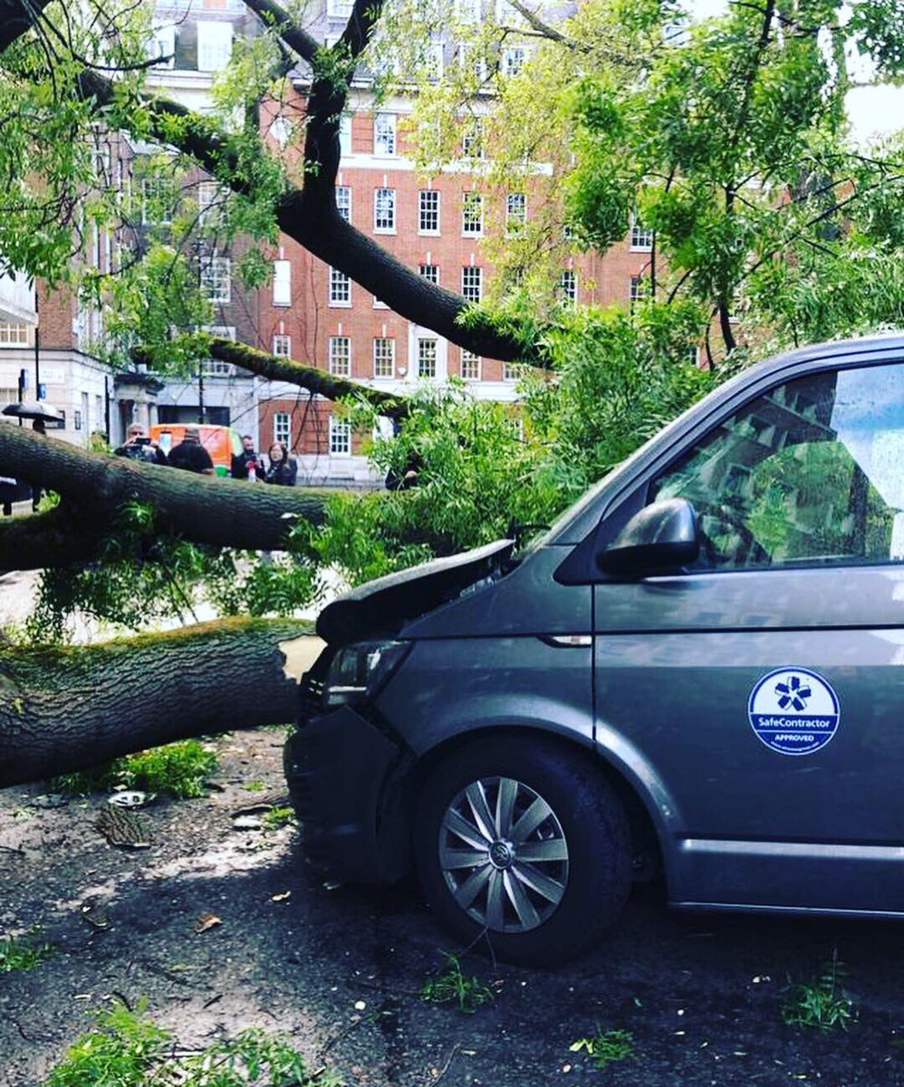 Drama Soho Square, 1 of our new zero emission Storm vans destroyed by huge tree & our florist was inside! No one hurt but huge shock! #zeroemissions  #SohoSquare #Soho #SohoFlorist #treefalling #fallentree #london #accident #tree #sme #entreprenaur #news #storm #breakingnews